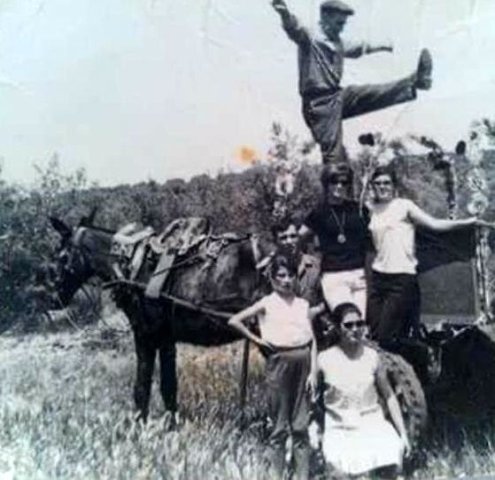 Amigos de campo